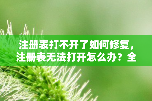 注册表打不开了如何修复图片
