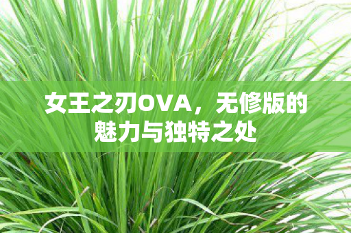 无修版的魅力与独特之处图片