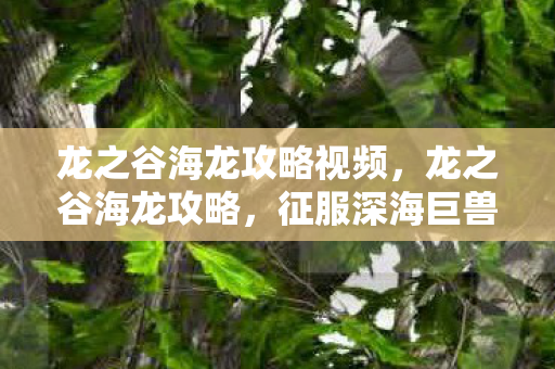 龙之谷海龙攻略视频，龙之谷海龙攻略，征服深海巨兽的完全指南