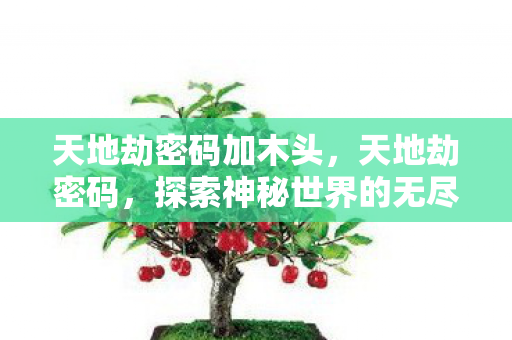 天地劫密码加木头,天地劫密码,探索神秘世界的无尽奥秘 天地劫密码加木头,天地劫密码,探索神秘世界的无尽奥秘