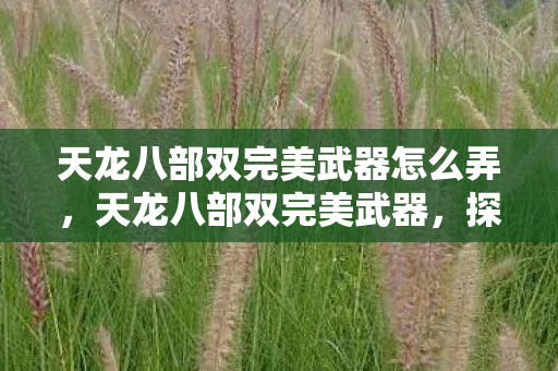 天龙八部双完美武器怎么弄,天龙八部双完美武器,探寻神秘武器的传世魅力 天龙八部双完美武器怎么弄,天龙八部双完美武器,探寻神秘武器的传世魅力