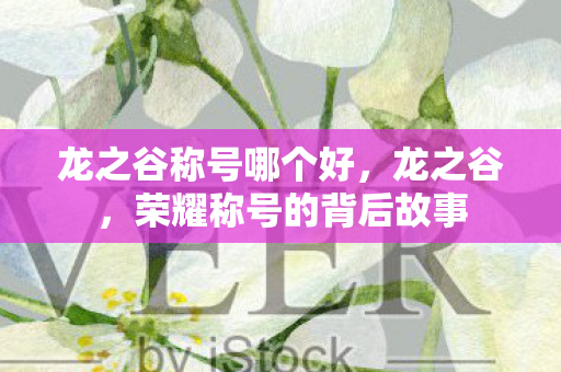 龙之谷称号哪个好,龙之谷,荣耀称号的背后故事 龙之谷称号哪个好,龙之谷,荣耀称号的背后故事
