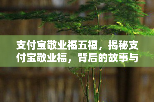 支付宝敬业福五福,揭秘支付宝敬业福,背后的故事与深层意义 支付宝敬业福五福,揭秘支付宝敬业福,背后的故事与深层意义