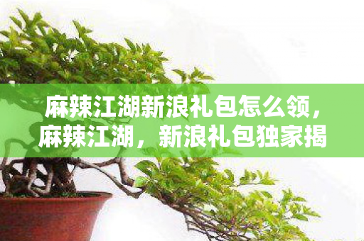 麻辣江湖新浪礼包怎么领，麻辣江湖，新浪礼包独家揭秘，玩家狂欢盛宴开启！