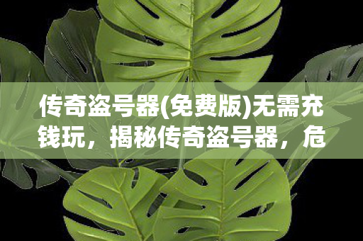 传奇盗号器(免费版)无需充钱玩，揭秘传奇盗号器，危害、防范与应对之道