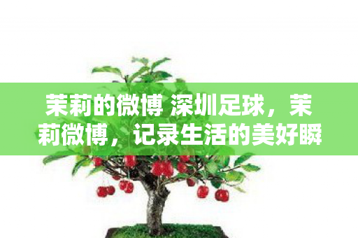 茉莉的微博 深圳足球,茉莉微博,记录生活的美好瞬间与心灵成长之路 茉莉的微博 深圳足球,茉莉微博,记录生活的美好瞬间与心灵成长之路