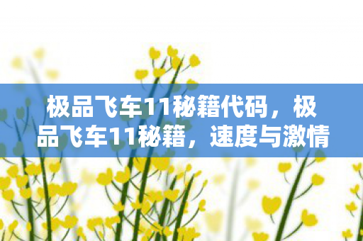 极品飞车11秘籍代码,极品飞车11秘籍,速度与激情的无限可能 极品飞车11秘籍代码,极品飞车11秘籍,速度与激情的无限可能