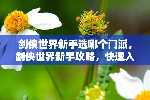 剑侠世界新手选哪个门派，剑侠世界新手攻略，快速入门，轻松玩转游戏世界！