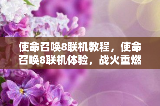使命召唤8联机教程，使命召唤8联机体验，战火重燃的游戏盛宴