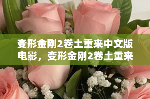 变形金刚2卷土重来中文版电影，变形金刚2卷土重来中文版，深度解析与回顾