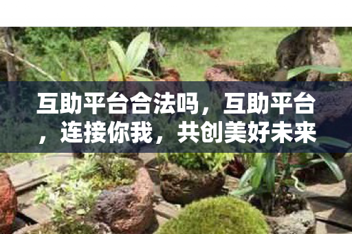互助平台合法吗,互助平台,连接你我,共创美好未来 互助平台合法吗,互助平台,连接你我,共创美好未来