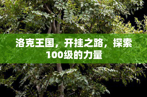探索100级的力量图片