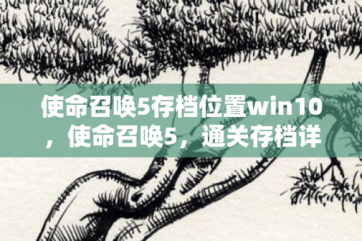 使命召唤5存档位置win10,使命召唤5,通关存档详解 使命召唤5存档位置win10,使命召唤5,通关存档详解