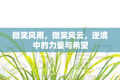 微笑风雨,微笑风云,逆境中的力量与希望 微笑风雨,微笑风云,逆境中的力量与希望