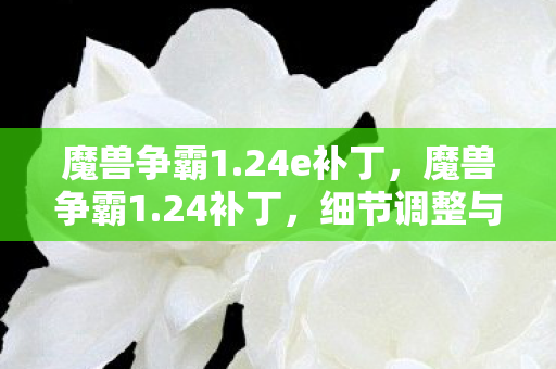 魔兽争霸1.24e补丁，魔兽争霸1.24补丁，细节调整与游戏体验提升的新篇章
