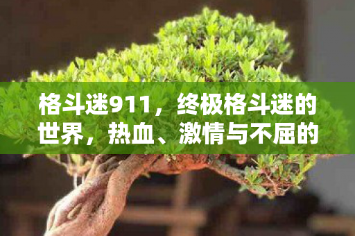 格斗迷911,终极格斗迷的世界,热血、激情与不屈的挑战精神 格斗迷911,终极格斗迷的世界,热血、激情与不屈的挑战精神