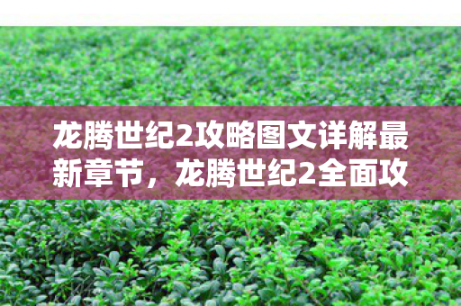 龙腾世纪2攻略图文详解最新章节,龙腾世纪2全面攻略,成为顶尖玩家的必经之路 龙腾世纪2攻略图文详解最新章节,龙腾世纪2全面攻略,成为顶尖玩家的必经之路