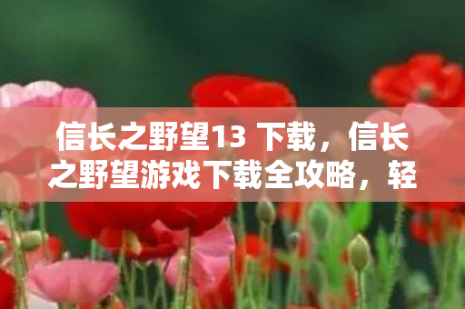 信长之野望13 下载,信长之野望游戏下载全攻略,轻松获取游戏资源,开启战国争霸之旅! 信长之野望13 下载,信长之野望游戏下载全攻略,轻松获取游戏资源,开启战国争霸之旅!
