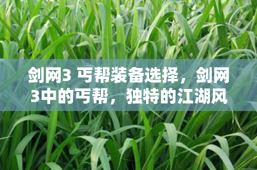 剑网3 丐帮装备选择,剑网3中的丐帮,独特的江湖风采与游戏文化 剑网3 丐帮装备选择,剑网3中的丐帮,独特的江湖风采与游戏文化