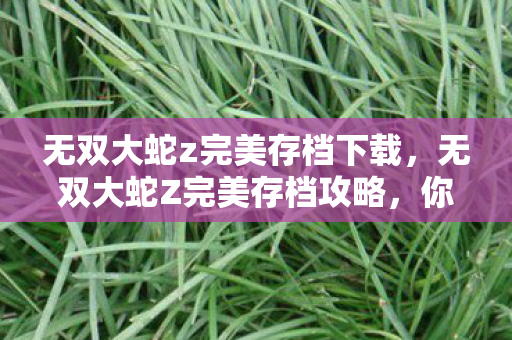 无双大蛇z完美存档下载,无双大蛇Z完美存档攻略,你的游戏人生新篇章 无双大蛇z完美存档下载,无双大蛇Z完美存档攻略,你的游戏人生新篇章