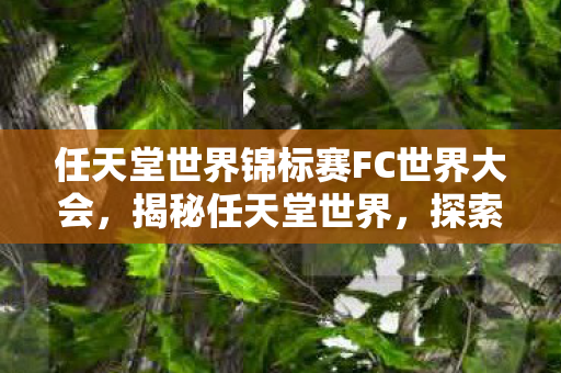 任天堂世界锦标赛FC世界大会，揭秘任天堂世界，探索游戏帝国的奥秘