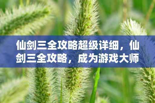 仙剑三全攻略超级详细,仙剑三全攻略,成为游戏大师之路 仙剑三全攻略超级详细,仙剑三全攻略,成为游戏大师之路
