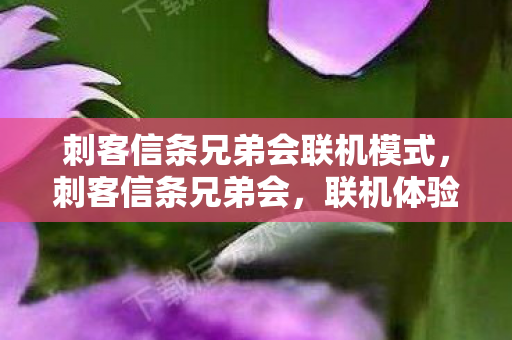 刺客信条兄弟会联机模式,刺客信条兄弟会,联机体验与深入解析 刺客信条兄弟会联机模式,刺客信条兄弟会,联机体验与深入解析