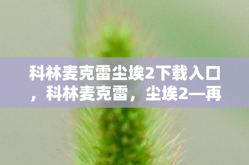 科林麦克雷尘埃2下载入口，科林麦克雷，尘埃2—再现赛车传奇的辉煌时刻