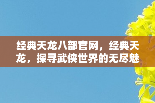 经典天龙八部官网，经典天龙，探寻武侠世界的无尽魅力