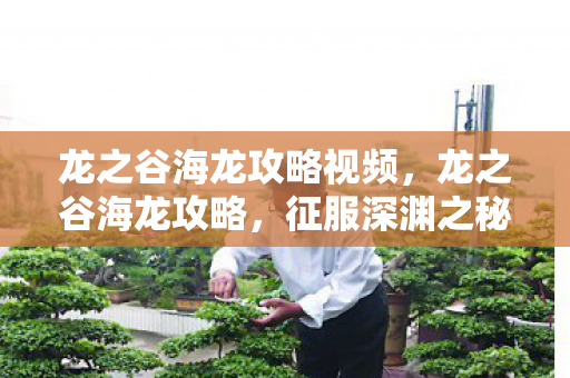龙之谷海龙攻略视频,龙之谷海龙攻略,征服深渊之秘 龙之谷海龙攻略视频,龙之谷海龙攻略,征服深渊之秘