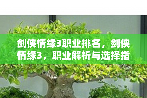剑侠情缘3职业排名，剑侠情缘3，职业解析与选择指南