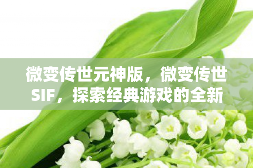 微变传世元神版,微变传世SIF,探索经典游戏的全新魅力 微变传世元神版,微变传世SIF,探索经典游戏的全新魅力