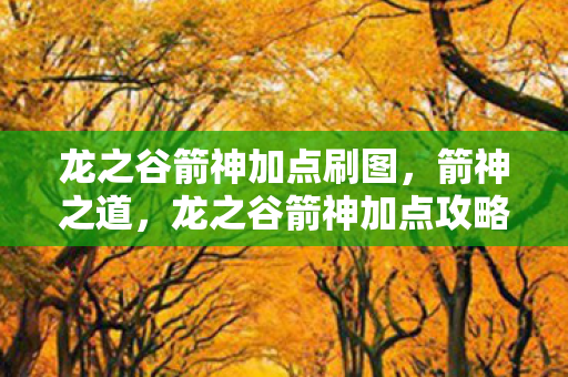 龙之谷箭神加点刷图,箭神之道,龙之谷箭神加点攻略 龙之谷箭神加点刷图,箭神之道,龙之谷箭神加点攻略