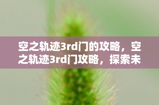 空之轨迹3rd门的攻略，空之轨迹3rd门攻略，探索未知世界的秘密之门