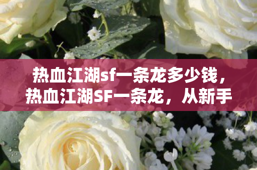 热血江湖sf一条龙多少钱,热血江湖SF一条龙,从新手到高手的全方位攻略 热血江湖sf一条龙多少钱,热血江湖SF一条龙,从新手到高手的全方位攻略