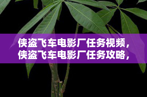 侠盗飞车电影厂任务视频,侠盗飞车电影厂任务攻略,深入解析游戏魅力与独特玩法 侠盗飞车电影厂任务视频,侠盗飞车电影厂任务攻略,深入解析游戏魅力与独特玩法