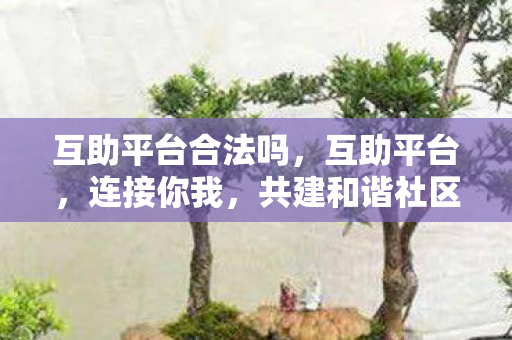 互助平台合法吗,互助平台,连接你我,共建和谐社区的力量之源 互助平台合法吗,互助平台,连接你我,共建和谐社区的力量之源