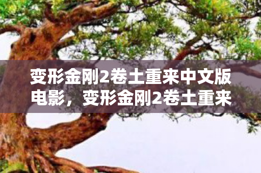变形金刚2卷土重来中文版电影,变形金刚2卷土重来,续写传奇,震撼归来! 变形金刚2卷土重来中文版电影,变形金刚2卷土重来,续写传奇,震撼归来!