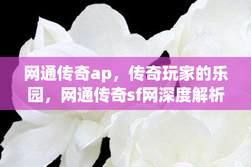 网通传奇ap,传奇玩家的乐园,网通传奇sf网深度解析 网通传奇ap,传奇玩家的乐园,网通传奇sf网深度解析