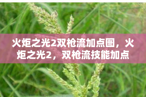 火炬之光2双枪流加点图,火炬之光2,双枪流技能加点攻略 火炬之光2双枪流加点图,火炬之光2,双枪流技能加点攻略