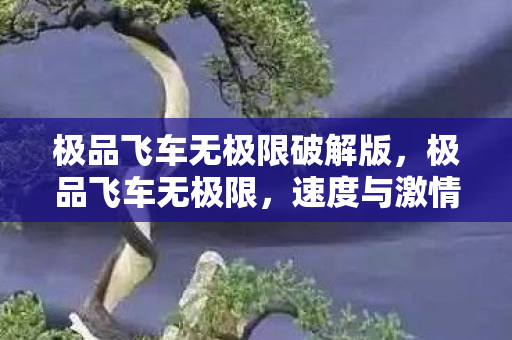 极品飞车无极限破解版,极品飞车无极限,速度与激情的完美融合 极品飞车无极限破解版,极品飞车无极限,速度与激情的完美融合