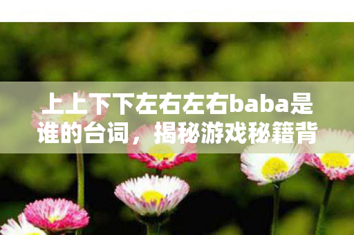 上上下下左右左右baba是谁的台词,揭秘游戏秘籍背后的真相,那些关于上上下下左右左右ba的真相与误解 上上下下左右左右baba是谁的台词,揭秘游戏秘籍背后的真相,那些关于上上下下左右左右ba的真相与误解