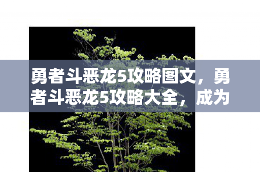 勇者斗恶龙5攻略图文,勇者斗恶龙5攻略大全,成为传奇的必经之路 勇者斗恶龙5攻略图文,勇者斗恶龙5攻略大全,成为传奇的必经之路