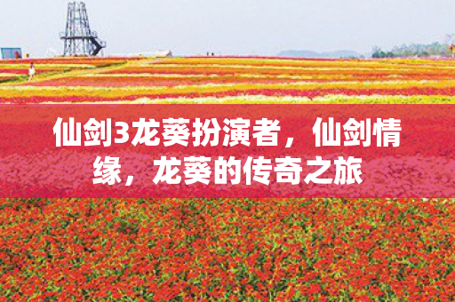 仙剑3龙葵扮演者,仙剑情缘,龙葵的传奇之旅 仙剑3龙葵扮演者,仙剑情缘,龙葵的传奇之旅