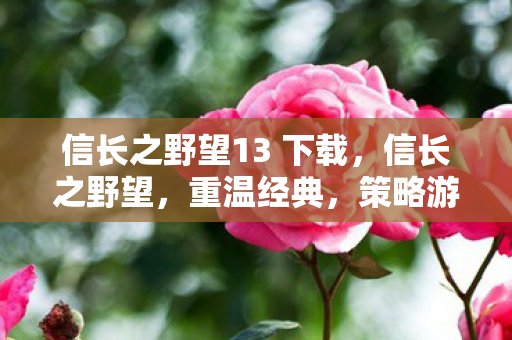 信长之野望13 下载,信长之野望,重温经典,策略游戏的魅力之旅—游戏下载全攻略 信长之野望13 下载,信长之野望,重温经典,策略游戏的魅力之旅—游戏下载全攻略