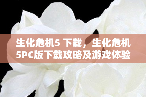 生化危机5 下载，生化危机5PC版下载攻略及游戏体验分享