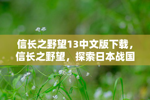 信长之野望13中文版下载,信长之野望,探索日本战国时代的传奇故事 信长之野望13中文版下载,信长之野望,探索日本战国时代的传奇故事