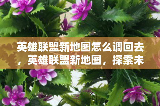 英雄联盟新地图怎么调回去,英雄联盟新地图,探索未知领域,体验全新战斗氛围 英雄联盟新地图怎么调回去,英雄联盟新地图,探索未知领域,体验全新战斗氛围
