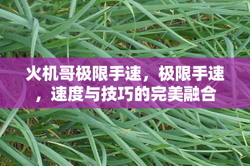 火机哥极限手速,极限手速,速度与技巧的完美融合 火机哥极限手速,极限手速,速度与技巧的完美融合