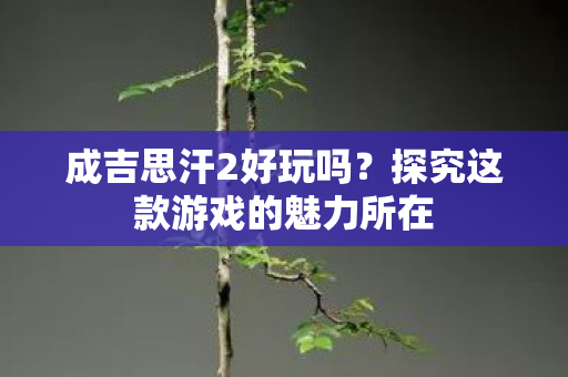 探究这款游戏的魅力所在图片